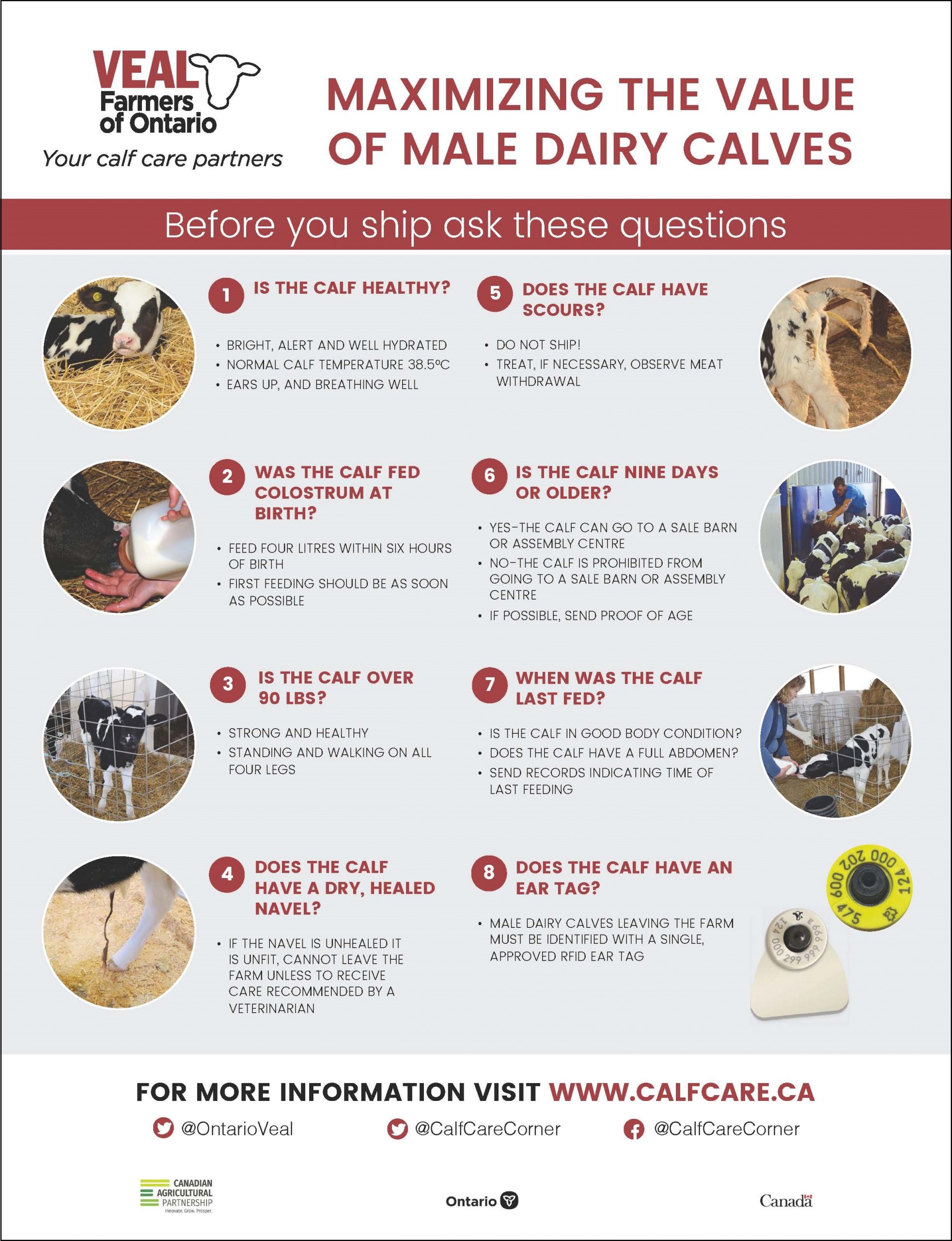 Resources vealfarmers.ca