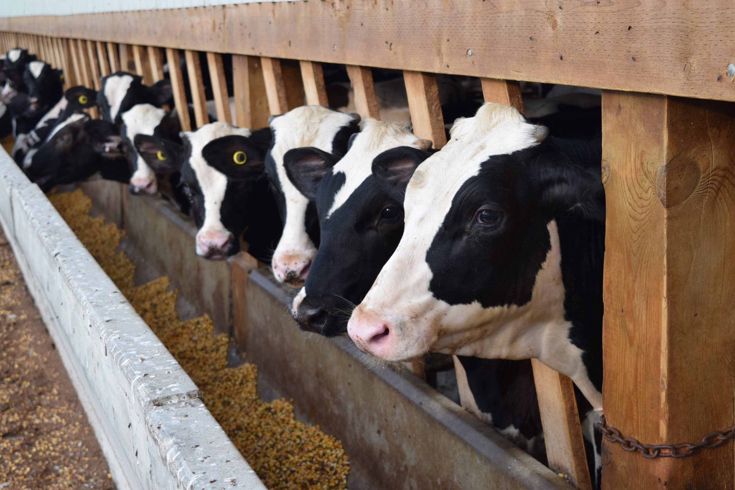 Security from Trespass and Protecting Food Safety Act, 2020 Protecting