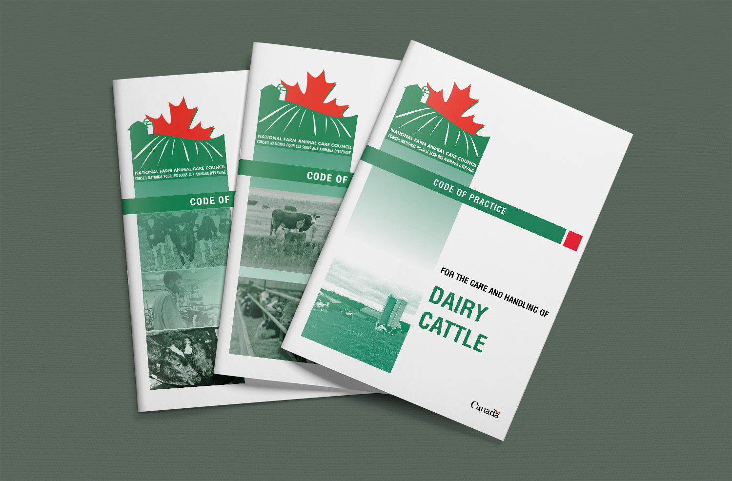 Housing Veal Farmers of Ontario